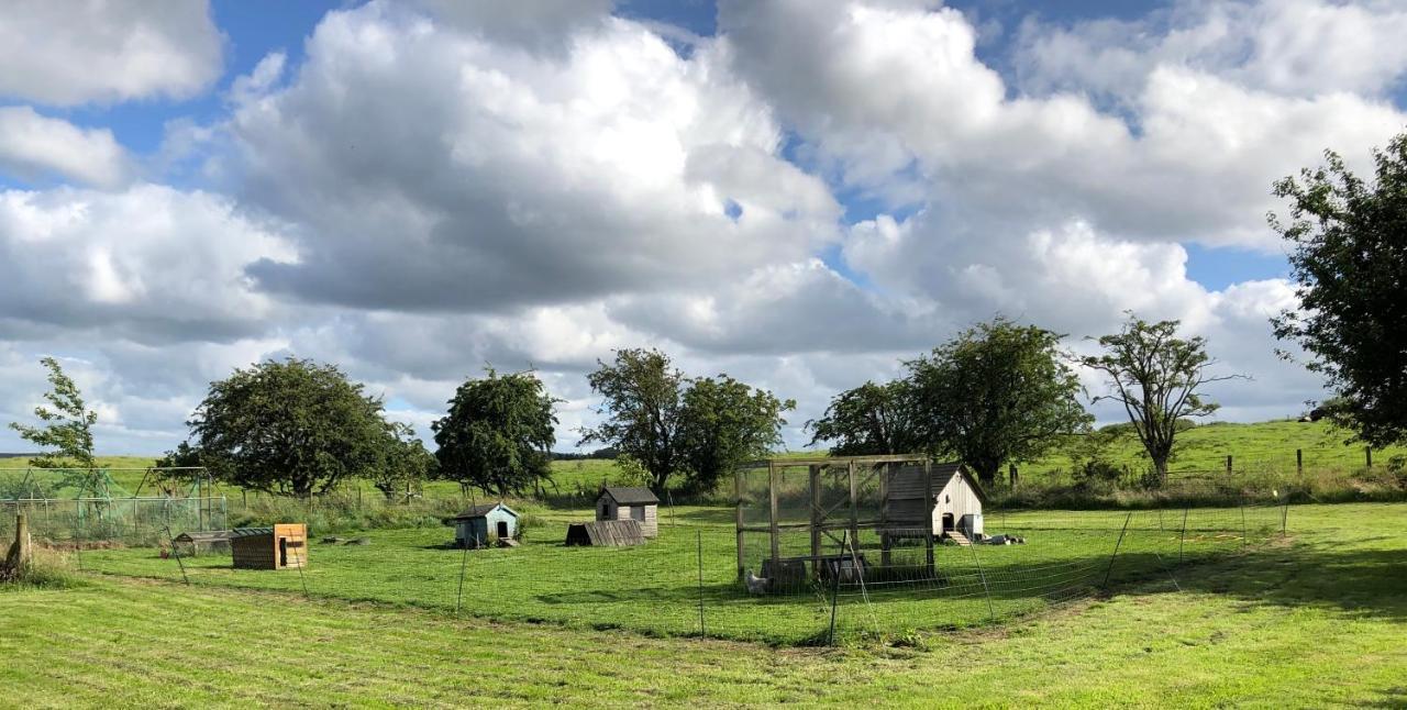 Llys Onnen - North Wales Holiday Cottage Mold Ngoại thất bức ảnh